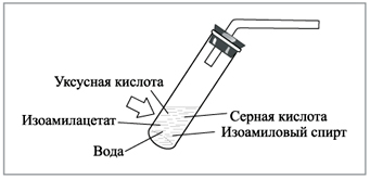 Рис. 1. Пробирка-реактор для получения сложного эфира (изоамилацетата)