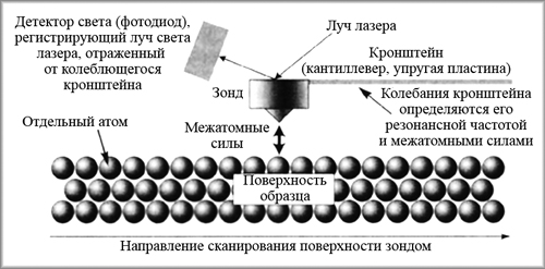 Рис. 3. Принцип работы атомно-силового микроскопа