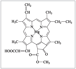 Рис. 7. Хлорофилл c1