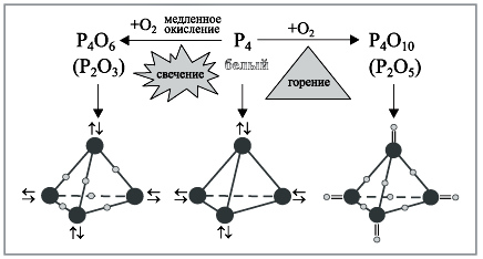 Фосфор связь. Белый фосфор формула химическая. Связь в молекуле фосфора.